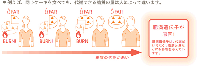 例えば、同じケーキを食べても、代謝できる糖質の量は人によって違います。