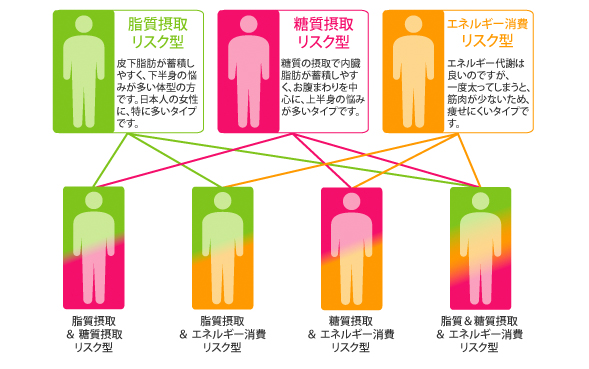 7タイプの肥満体質
