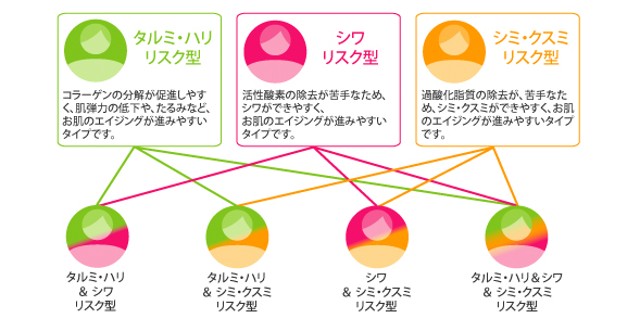 7タイプの美容体質