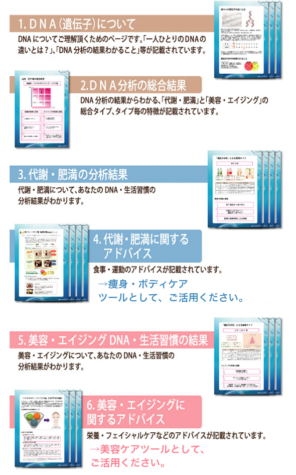 美容法とダイエット法がわかるDNAレポート